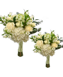 BRIDAL/BRIDESMAID COMBO