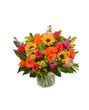 OVER THE EUPHORIA-LARGE CENTERPIECE