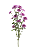 BUTTON POM DELIROCK PINK