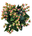 MAGICAL ROYAL PRINCESS