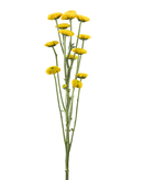 BUTTON POM PAINTBALL SUNNY